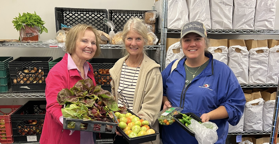 The Garden Tutor - Home 2