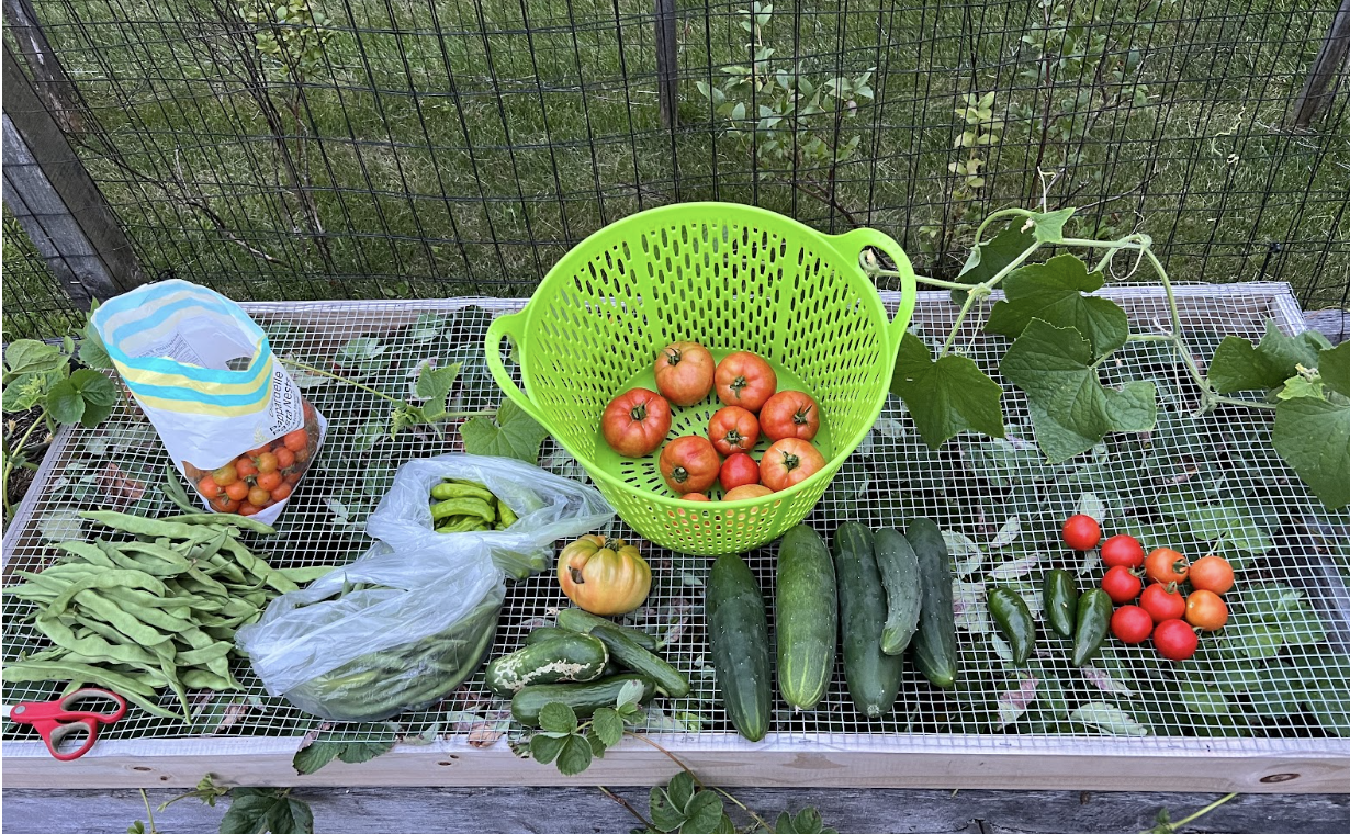 The Garden Tutor - Home 4