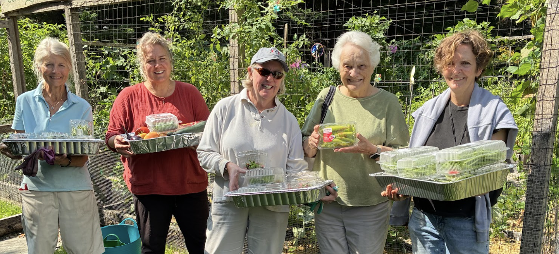 The Garden Tutor - Home 6